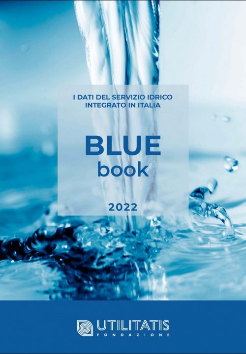 EXECUTIVE SUMMARY BLUE BOOK 2022